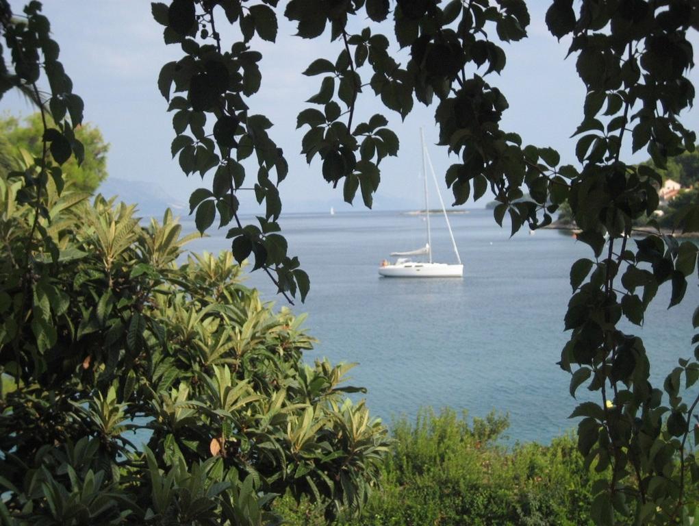 Apartments Villa Diha Korčula Kültér fotó